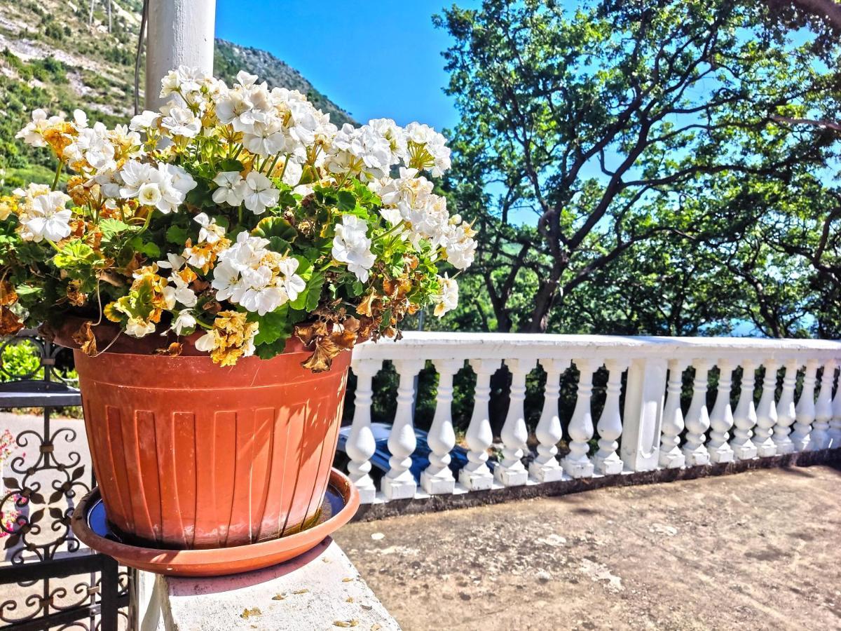 Dubrovnik Moonshine Apartment Mlini Eksteriør bilde